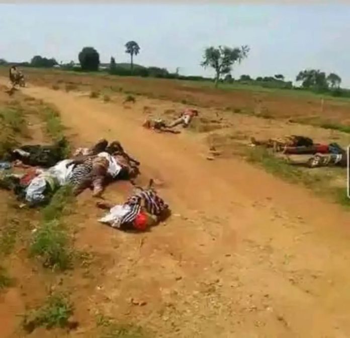 PLATEAUkillings