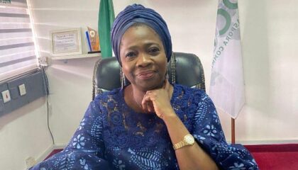 Foreigners Now Desperate For Nigerian Passport –Diaspora Commission Boss Erewa