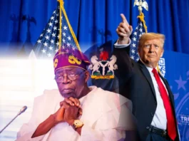Again Trump Barks At Tinubu
