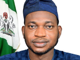 Tinubu Names Oseni Head Of Reconstituted Electricity Agency NERC Board