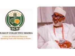 No Imposition Can Eclipse The Sacred Light Of Ijebu Tradition: The Awujale Stool Belongs To The Ancestors, Not To Politics