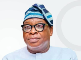 Afenifere Chieftain Fasoranti’s Son Quits As Ondo SSG To Run For Senate