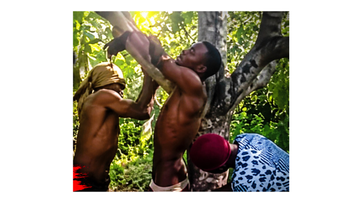 RESCUEDondo hunters