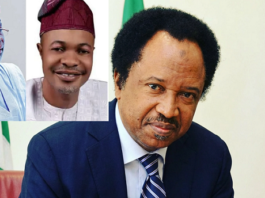Senator Shehu Sani Defends Tinubu’s Aide Gbajabiamila On N600m Bribe-For-Job Scandal