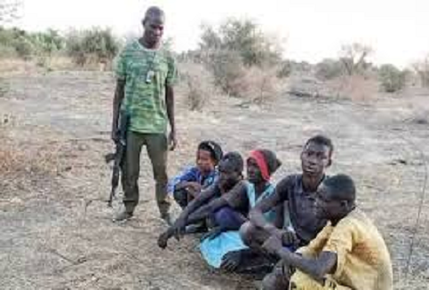 RescuedKWARA2