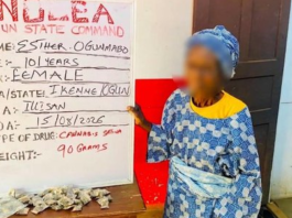 Great Grandma, 101, Arrested, Allowed Home Over Old Age As NDLEA Records Multiple Successes