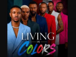 Nigeria Bans New Movie ‘Living In Colors’ Over Pro-Homosexual Content