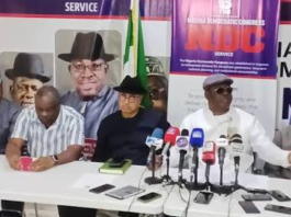 Pat Utomi, Galadima Head NDC Reconciliation, As Prof Urges National Unity To Return Nigeria To Africa’s Leadership