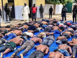 Emeka, Suleiman Appear In Names Of Niger Illegal Miners Found Dead In Civil Defence Cell (SEE FULL LIST)