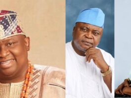 Policy Phobia: Why Adebutu Fears Manifesto More Than Ancestry