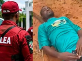 Drug Law Officer Dies After Diving Into Delta River In Pursuit Of Fleeing Suspect