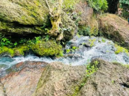 Oleyo Waterfall: Ebute-Igbooro Monarch Seeks Ogun Govt Support, Says Tourism Can Boost Economy (PHOTOS)